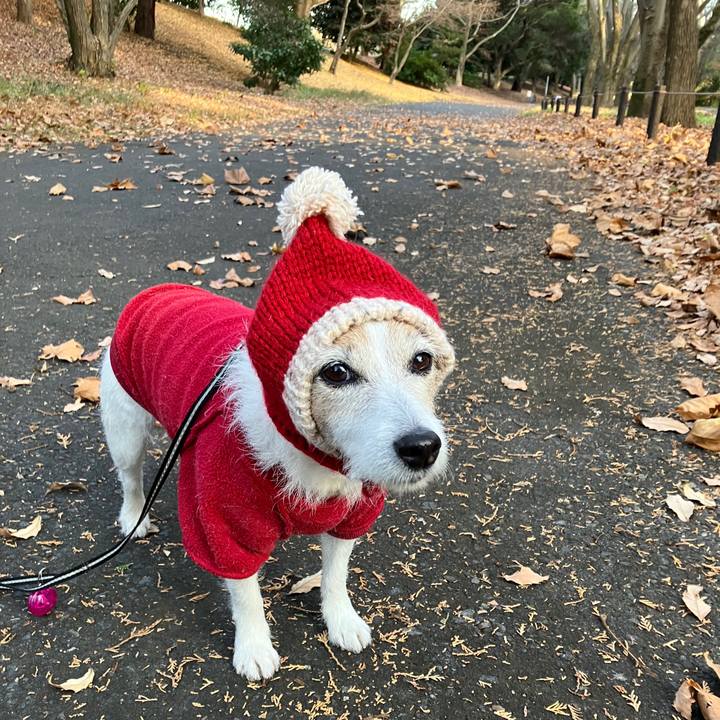 F0f3bbf1 cdd4 4f44 80c8 5f97df665a52 1734996490053