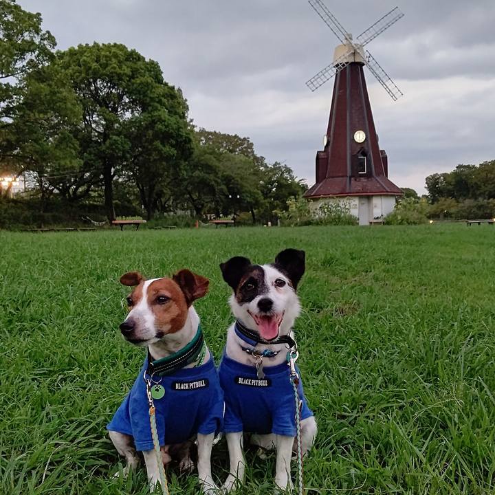 F0f3d709 ac29 4837 a474 df594f7d9133 1694272964194