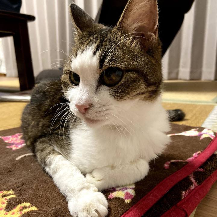 F0f3e548 6b05 42a1 9cf3 9e983e6148d0 1570793250244