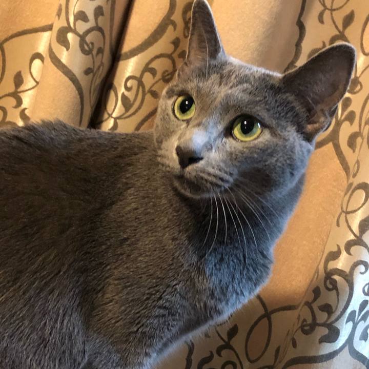 F0f3feb8 5374 4684 b846 be0bce75369f 1568387244886