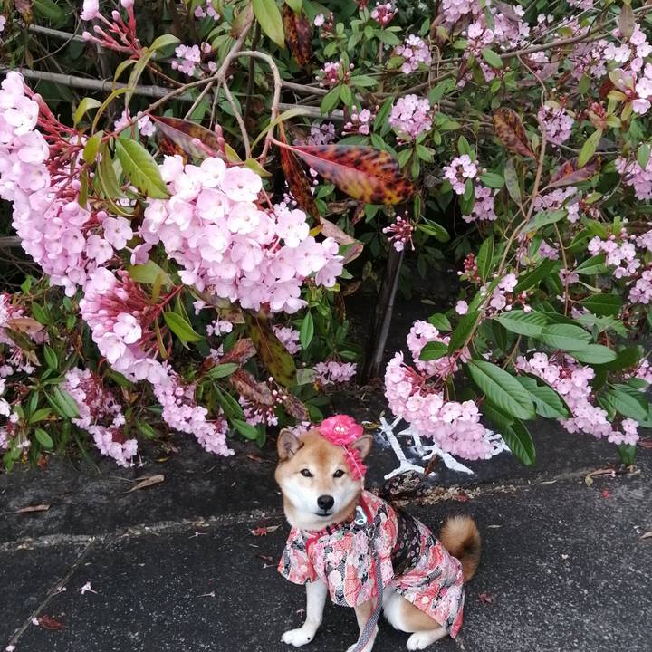 F0f413b4 9ae5 4e2d b492 01874487338e 1638883119058