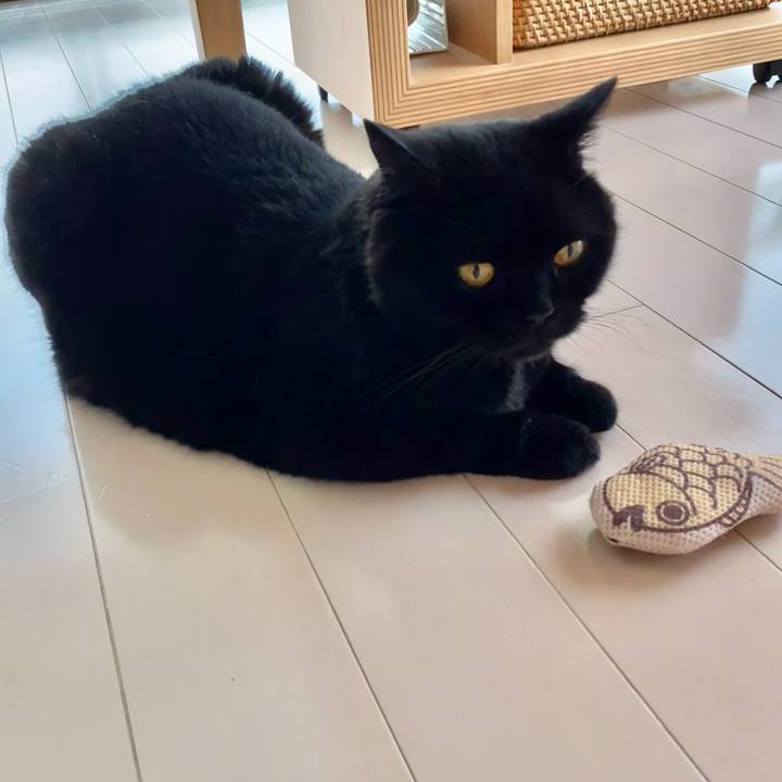 F0f41686 28c1 46c0 b4e5 0690a3854b78 1718583056782