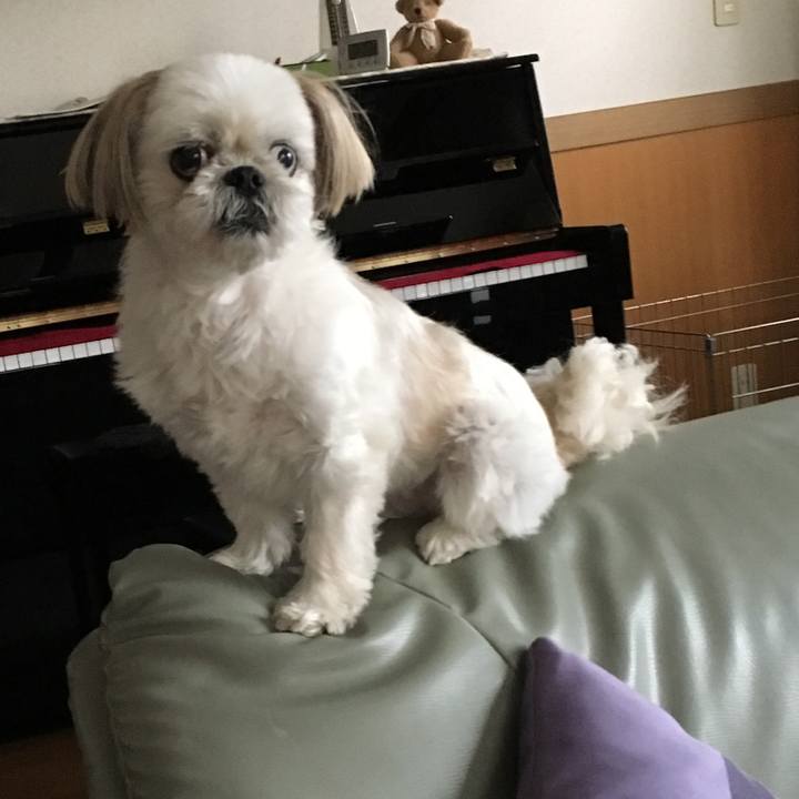 F0f4187b bc5d 4c19 b8d3 d91ef47a13d8 1561634931673