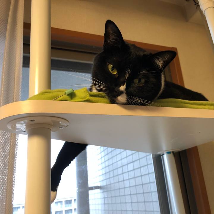 F0f426cf f6bf 46bd 8cf2 ae06e122bd08 1542864440778