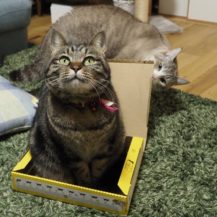 F0f5003e cc9c 4fef bde9 d42e2569cd56 1616410994998