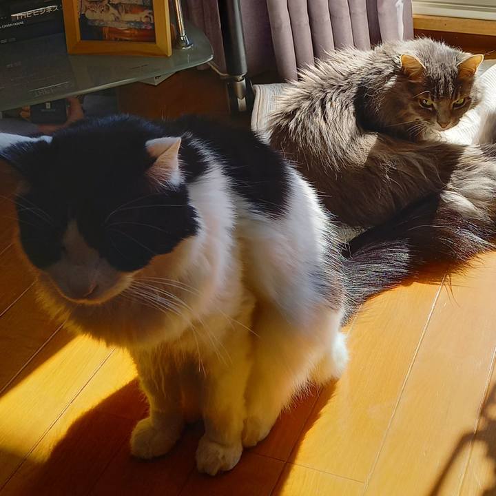 F0f52753 7ab6 4e00 9614 359873e041c1 1613943389174