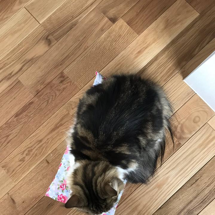 F0f52e49 d8ea 4ae2 b4bb 1023af4a8cb9 1520641080839