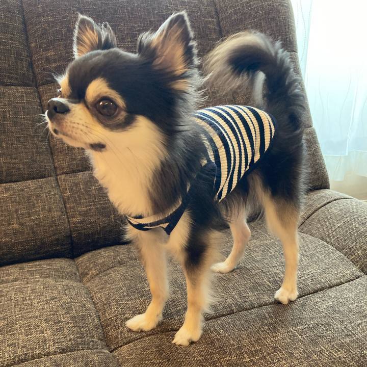 F0f55b02 2d73 443a 8770 cd2c0ff35f77 1716719640834