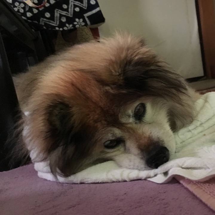 F0f5805a fe18 4afc ab78 68bdd3ee2693 1627398792172