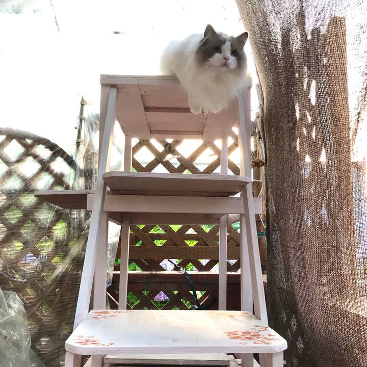 F0f58ece 6c8d 485a b3cb 217138e06d25 1591648229775