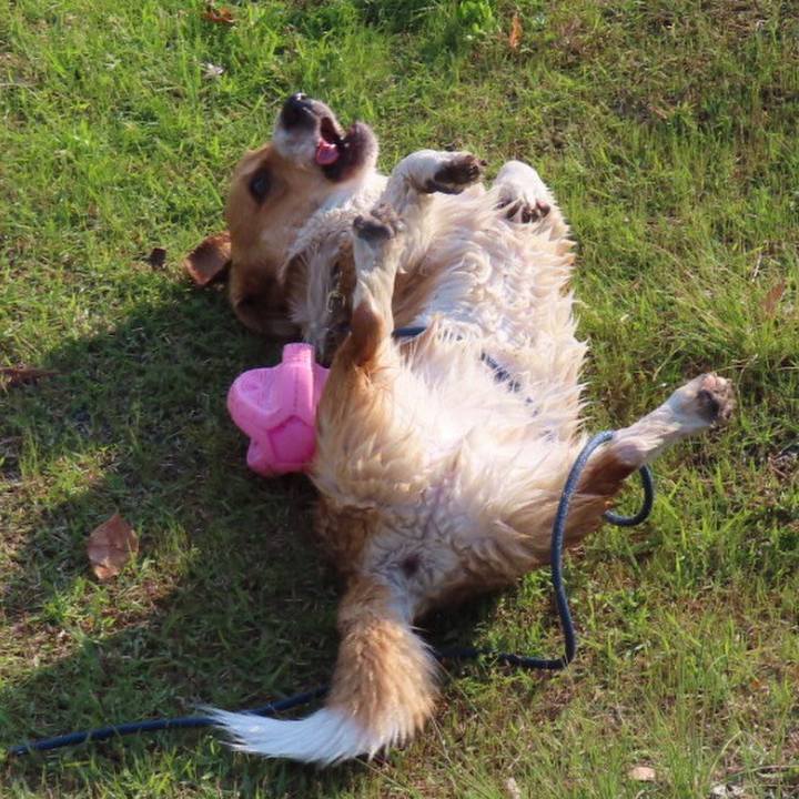 F0f5cc0d 0bfc 46c8 84a2 0367eb44599d 1619369098766