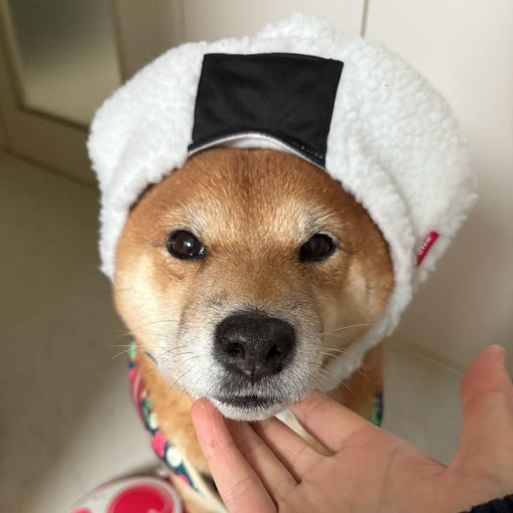 F0f61d13 d4aa 4307 8c6e 283e50e6a589 1766721674095