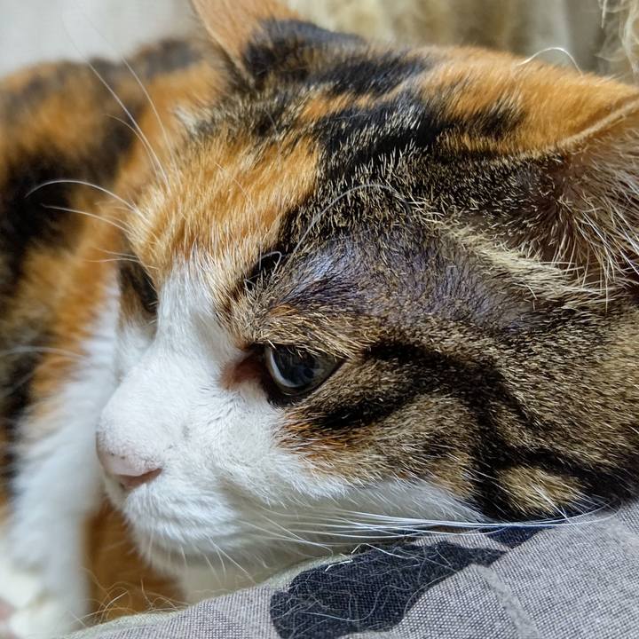 F0f62002 6bf5 455b b547 121fdfd45319 1630445370188