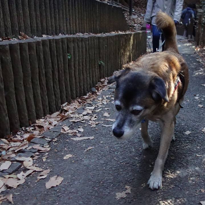 F0f63807 9667 4e6a 8114 2c6525aa454a 1546652498630