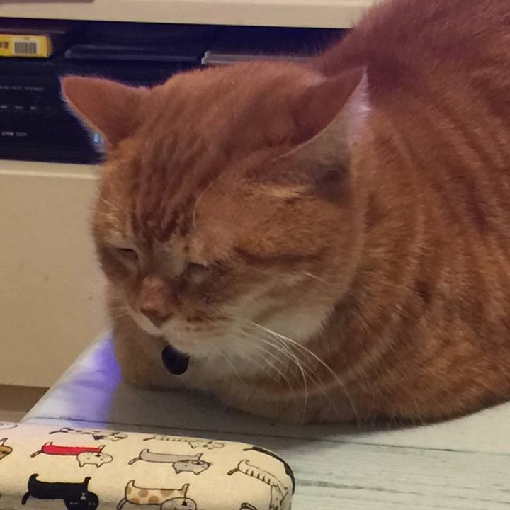 F0f6634a 957f 48df a1e2 9f1916b07173 1548084532062