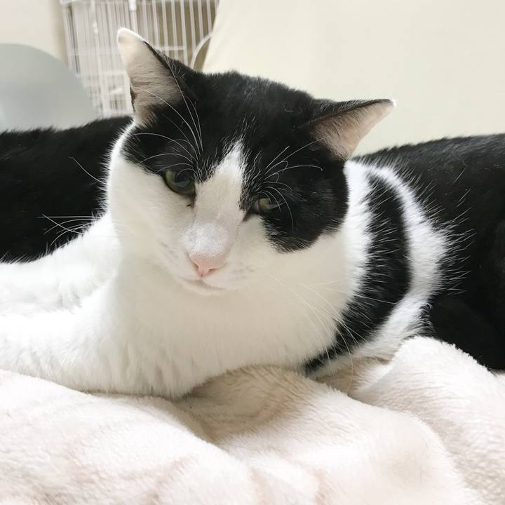 F0f6711e f0e8 4a05 b325 2f7f8475205b 1515329024960