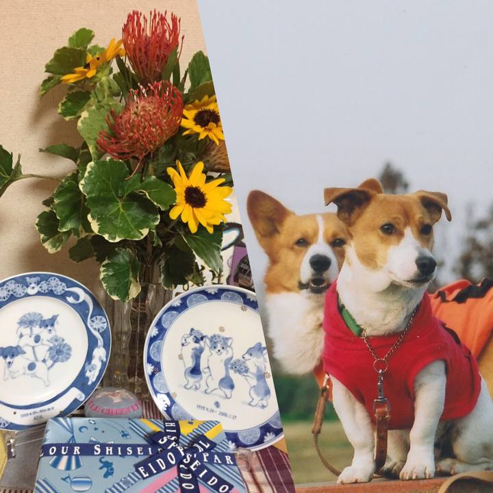 F0f671b9 5361 424d b41d 9a651197a0f7 1565697379315