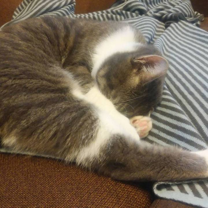 F0f68256 e6b6 4094 badc 6a3692690c98 1581859463227