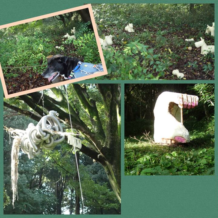 F0f6a9cc 0610 4cf0 8ea4 20c4affc7dc9 1729297789327