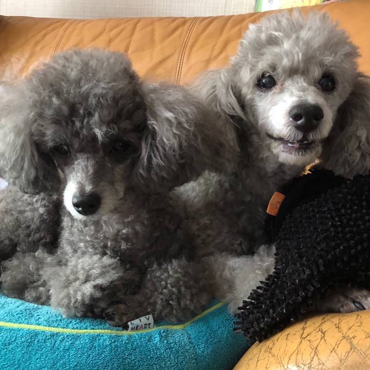 F0f6bac4 eaf0 46ea 9fe0 5aa9fb5c3885 1534638389698