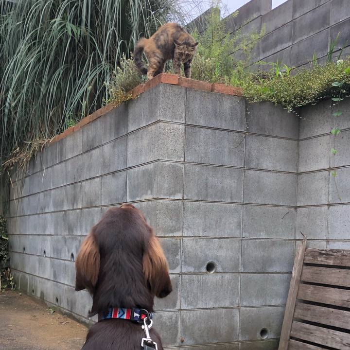 F0f6bbc6 c587 4e3f a4ab 4601ab26998b 1565663743708