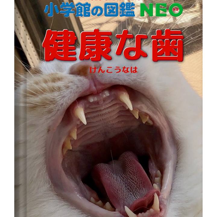 F0f6d4bd 88bc 4131 be9f e205e5fb0c3f 1578014375924
