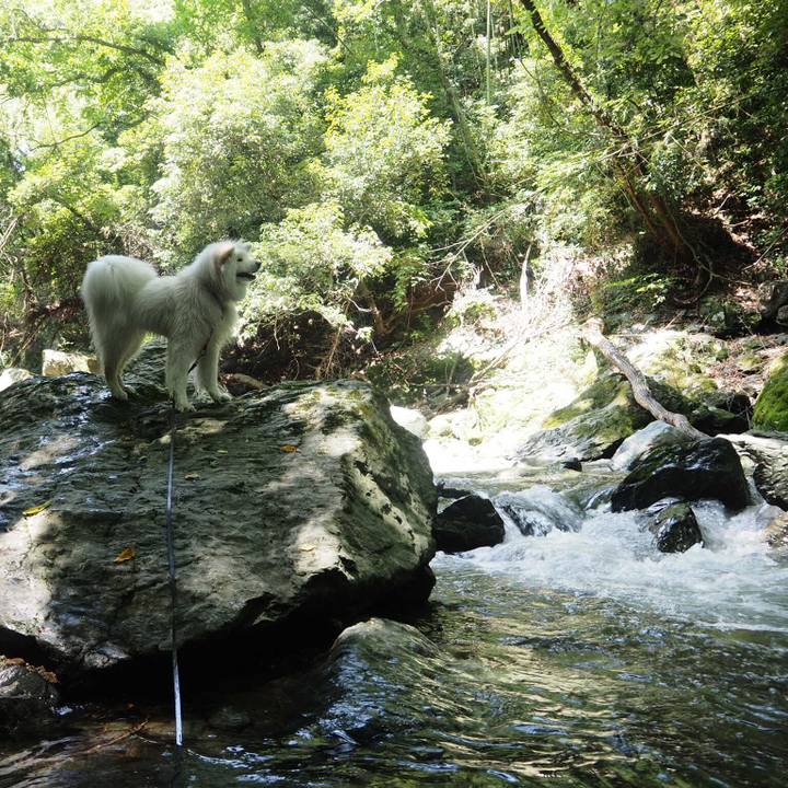 F0f6d8ff 2538 448a 9a86 3181be6d1b05 1531570800361