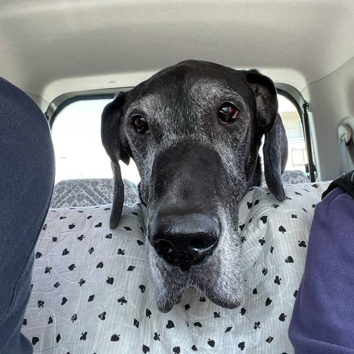 F0f6dc99 68e9 4a95 a8f6 c0528b6139d5 1618035629069