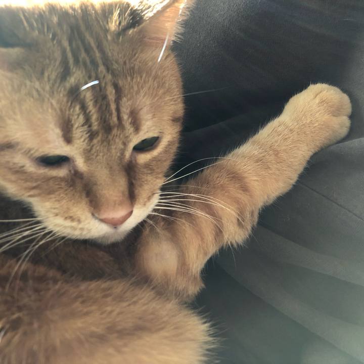 F0f70a74 9827 4e73 bedd 09ed933c1f26 1651269622874