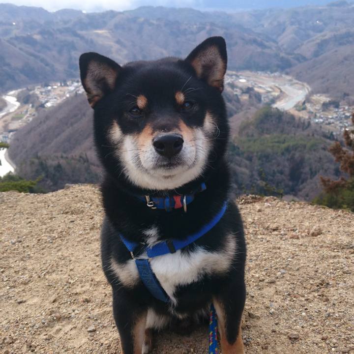 F0f7359e a15c 4aa6 b890 f2c0b7db98f9 1563199697586