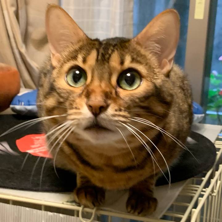 F0f73e9c 18e5 4d61 8afc 29789ccd040a 1631228891154