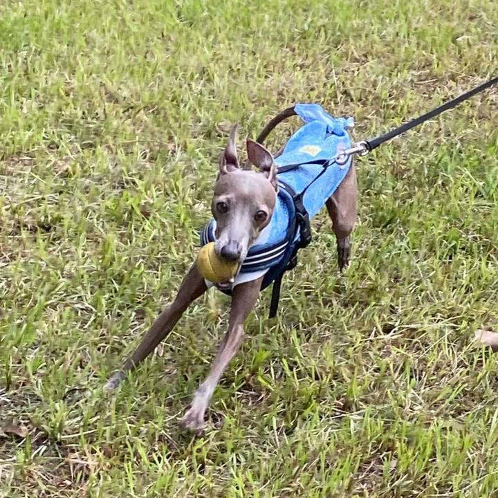 F0f74e5d cb11 4eaf 911d b14109aebaaa 1758936054948