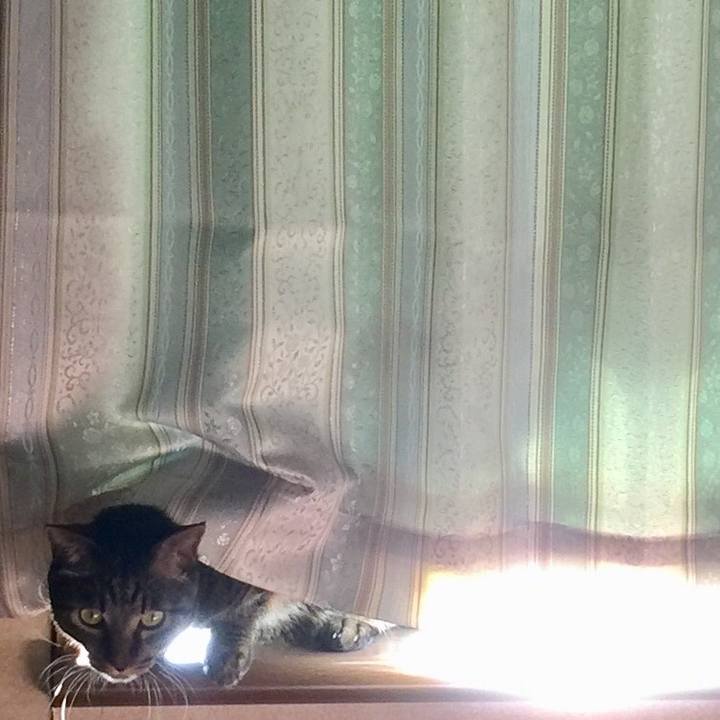 F0f75f2b 14c7 4bae b7cb b394ffd29216 1567248678914