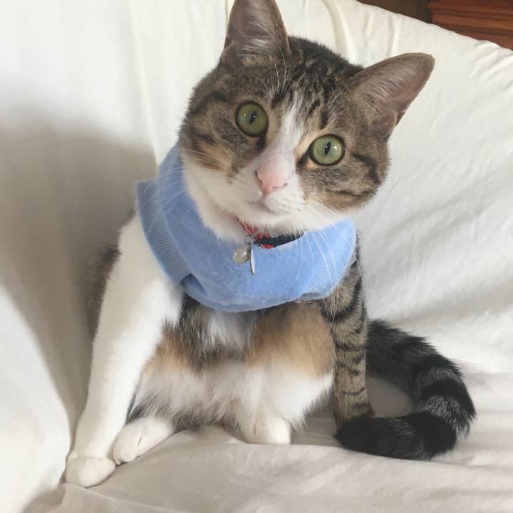 F0f76b26 146e 4b7b 9f0d 0702f976f233 1677637928828