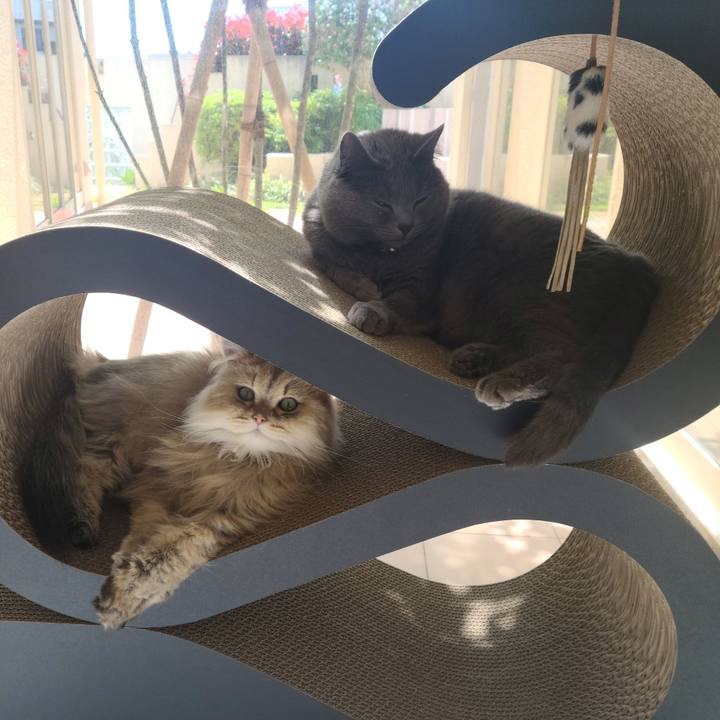 F0f78d33 980d 4bb9 af5e 042f69380f52 1619069105785