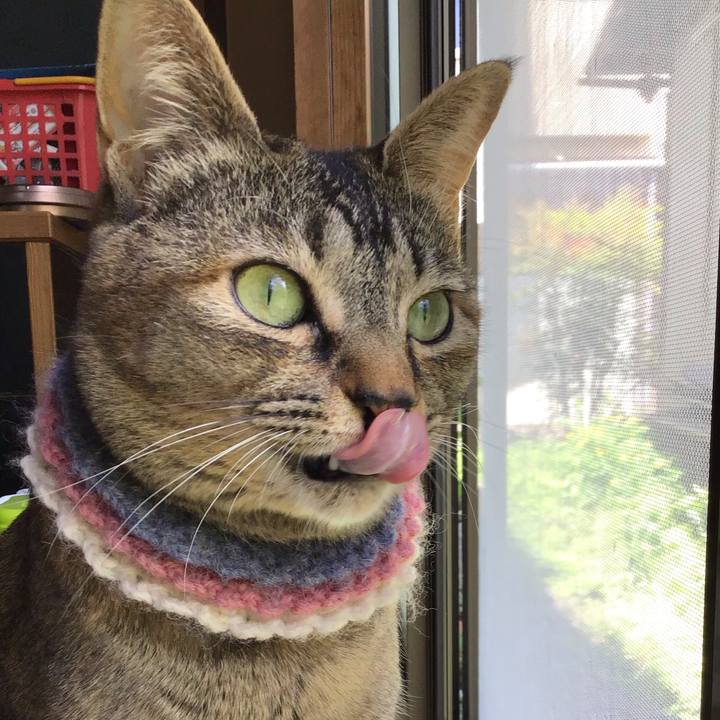 F0f79b98 60aa 47e6 9a13 f887e4170399 1620012481052