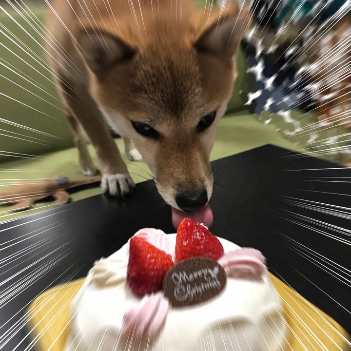 F0f81b24 bb8c 42b9 9a2e 1a745a3cc976 1545658046683