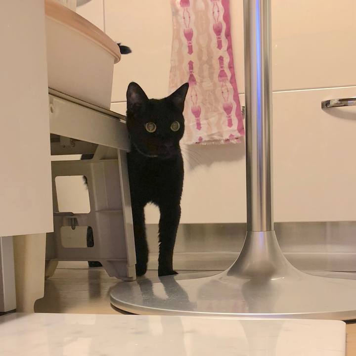 F0f84914 d7e1 49c8 b482 06d4e607d5a7 1535032383258