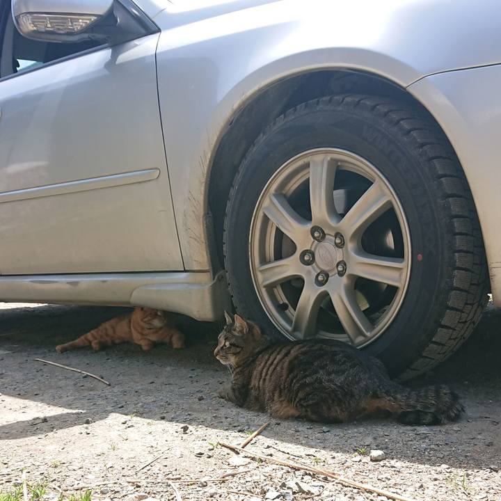 F0f84b86 09fd 4240 aabf 2019ba36146b 1651148537164