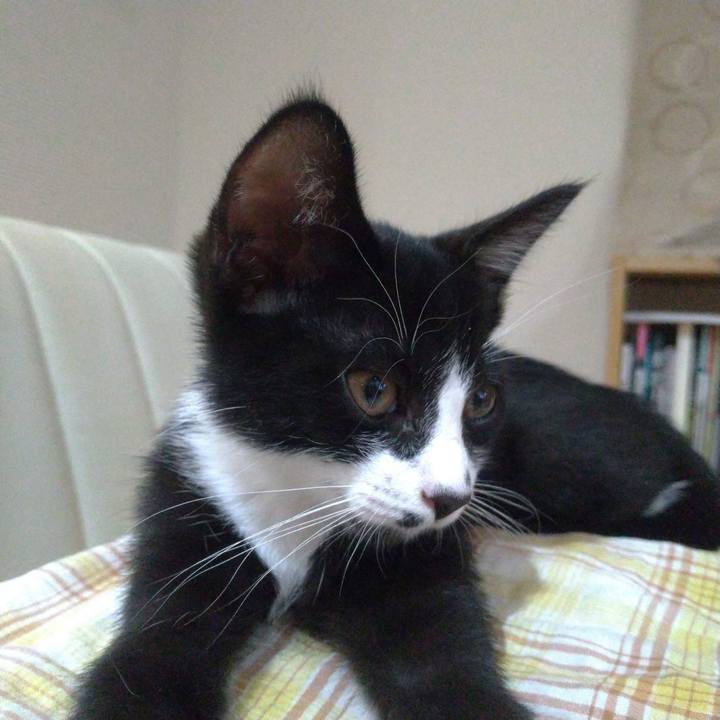 F0f85702 9264 4efb 8392 d10d3d44b792 1569244499163