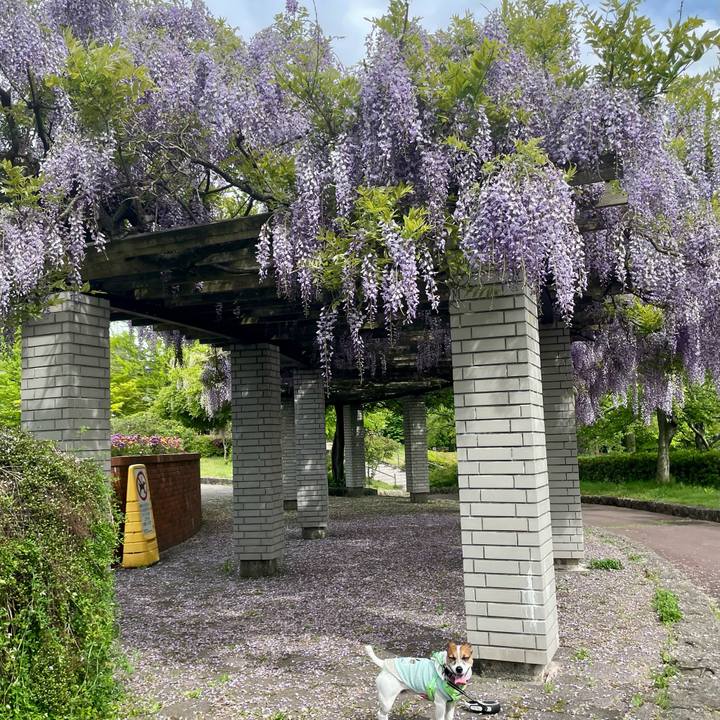 F0f85e71 5baa 46df abd2 c52f38025ff8 1746906333253