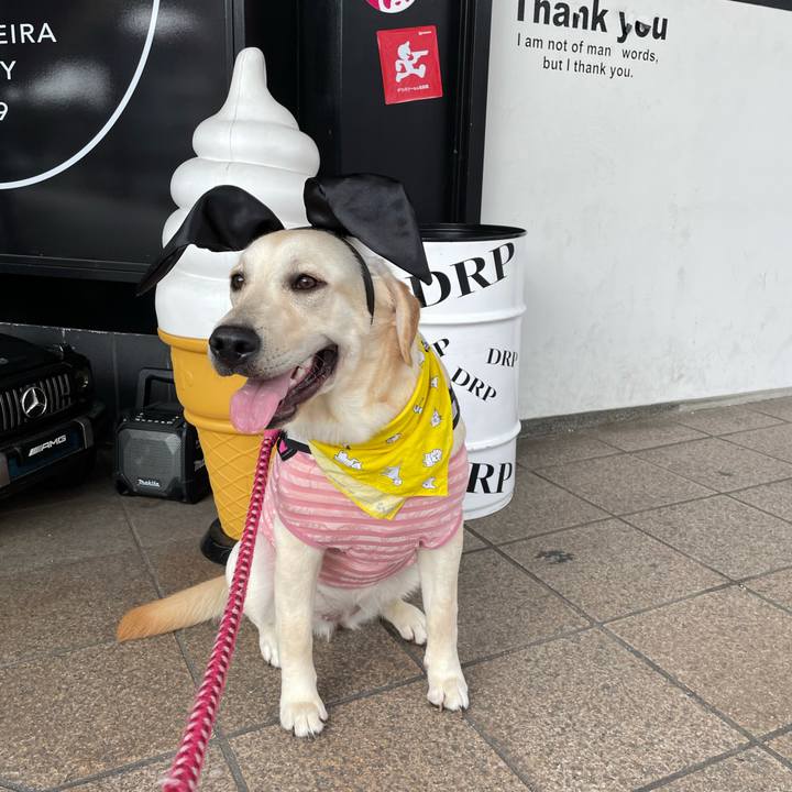 F0f88fca 0207 448b a646 48449cdf06c4 1627915788265