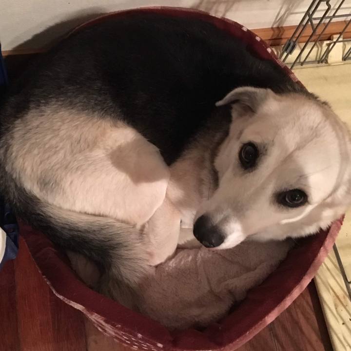 F0f89e54 36b3 4cb6 b762 3093a2d2cb63 1575953348497