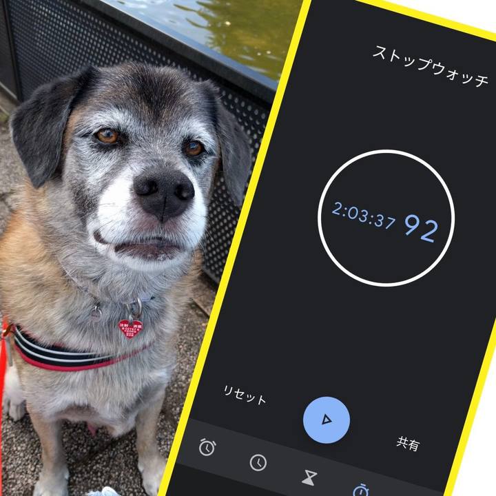 F0f8ad25 7b85 4966 a7fb fbba55c8c489 1632556520047