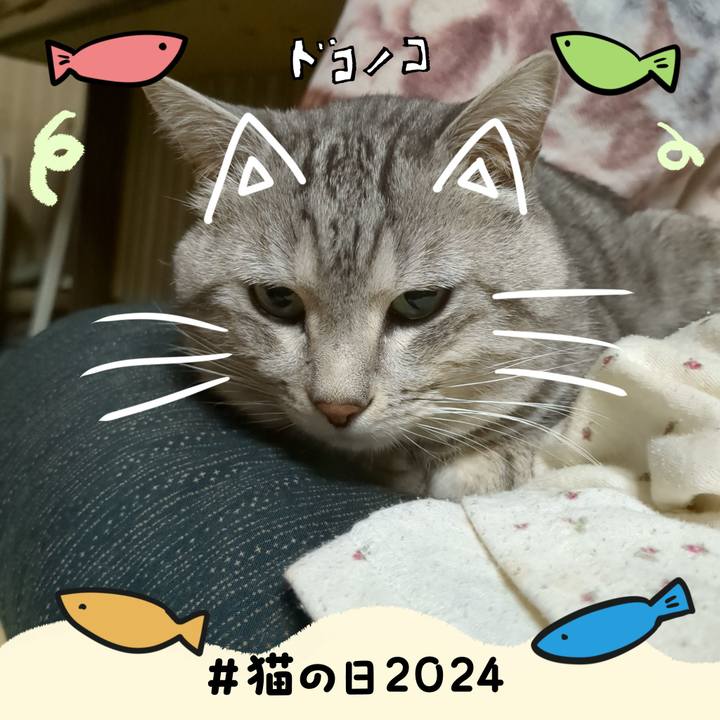 F0f8e52c cc57 42b5 a0be eaca86465da0 1708608803825