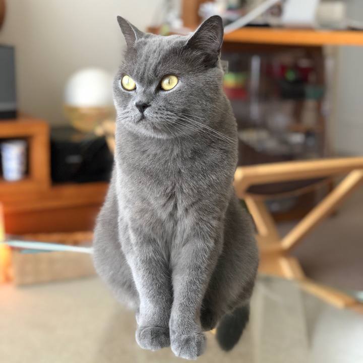 F0f8ea6b 715c 454c ae60 f665e1d3b838 1534548526808