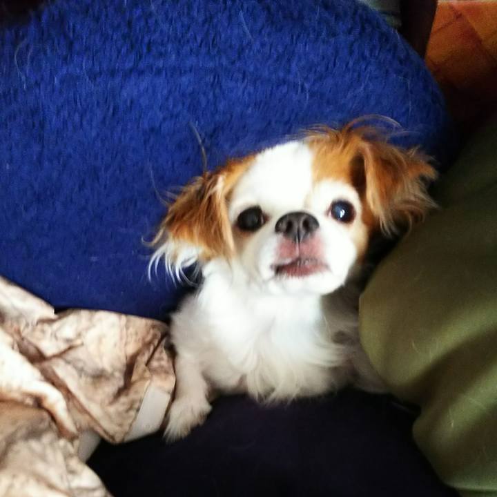 F0f905ba 7475 4539 af20 16e3732404a3 1529829461659