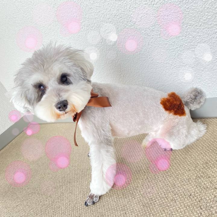 F0f91130 7f54 4160 972a db6776d25a0c 1644850341335