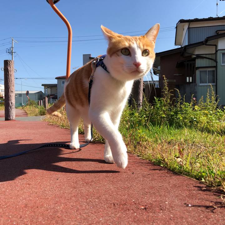 F0f911ee 529d 4b33 a962 4f559f656a4d 1540432360446