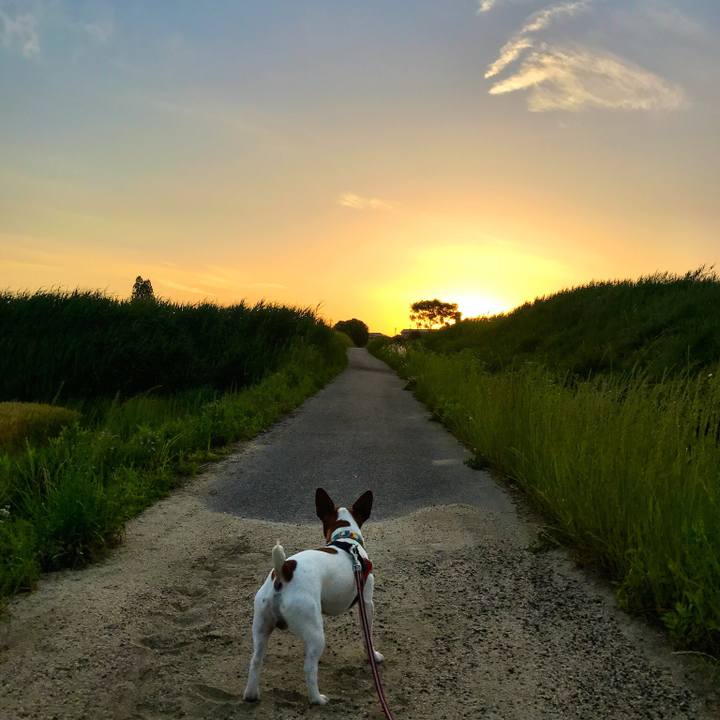 F0f91a2a cdb3 4bdd a968 910fc11d435f 1526987988840